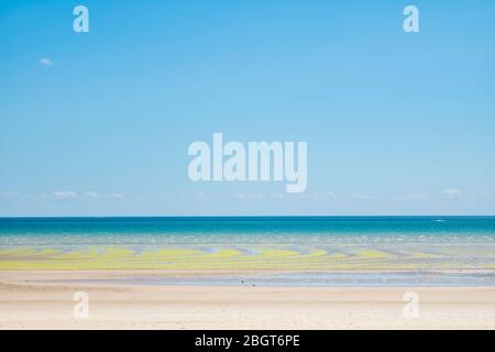 Seetang bildet geometrische kurvige Formen am Sandstrand in St Aubin's Bay, Jersey, Channel Isles Stockfoto