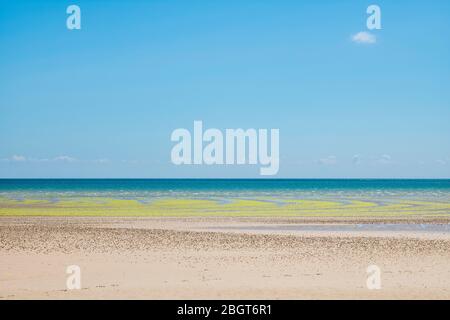 Seetang bildet geometrische kurvige Formen am Sandstrand in St Aubin's Bay, Jersey, Channel Isles Stockfoto