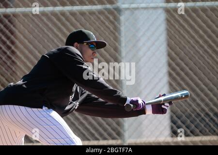 Carlos Gonzalez Rockies, Trainieren im Frühjahr 2013 in Sports Complex Salt River Felder an der Talking Stick in Arizona. 24. Februar 2013. (© NortePhot Stockfoto