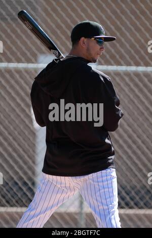 Carlos Gonzalez Rockies, Trainieren im Frühjahr 2013 in Sports Complex Salt River Felder an der Talking Stick in Arizona. 24. Februar 2013. (© NortePhot Stockfoto