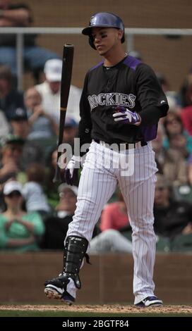 Carlos Gonzalez Rockies, Trainieren im Frühjahr 2013 in Sports Complex Salt River Felder an der Talking Stick in Arizona. 24. Februar 2013. (© NortePhot Stockfoto