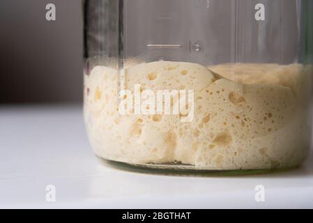 Nahaufnahme von pâte fermentée oder altem Teig im Einmachglas, bereit zum Auflaugen von Brotteig Stockfoto