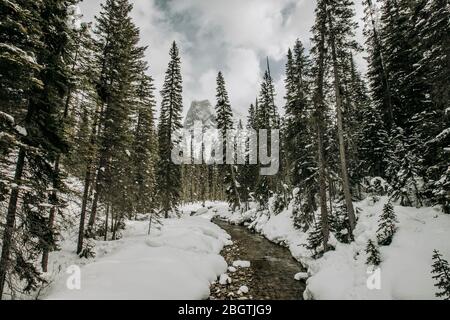 Klare Bach fließt durch Winterlandschaft in Wald und Bergen Stockfoto