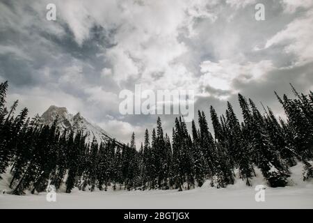 Gefrorener See umgeben von Pinienwald und Berg Emerald Lake, BC Stockfoto