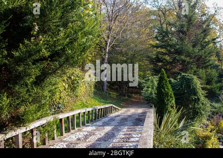 Stein gepflasterte Straße im Wald. Es wurde im Atatürk alboretum aufgenommen. Nahaufnahme. Stockfoto