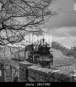 Monochrome Vorderansicht des alten britischen Dampfzugs, der sich in der ländlichen Landschaft Worcestershire nähert, Brücke überquert, Severn Valley Railway, Großbritannien. Stockfoto