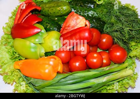 Set von verschiedenen frischen Gemüse in einem Teller, Dill, Tomaten Petersilie Paprika Zwiebel Gurke Paprika und andere Stockfoto