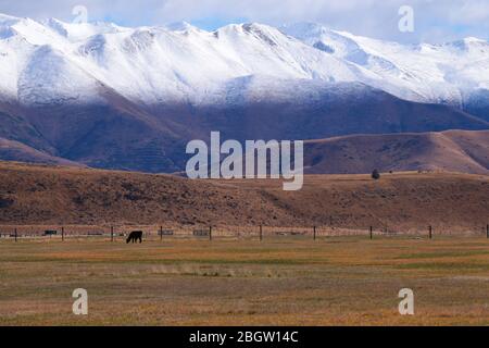 Schöne Natur in der Nähe von Twizel, Neuseeland, Südinsel, Ohau Range Stockfoto