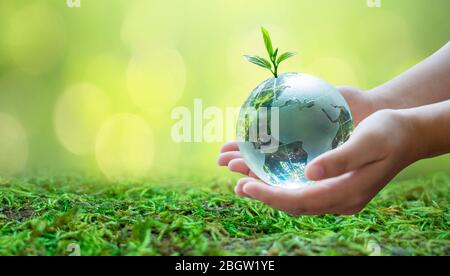 Erwachsene schicken die Welt zu Babys. Konzept Tag Erde die Welt retten Umwelt retten die Welt ist im Gras des grünen Bokeh-Hintergrundes Stockfoto