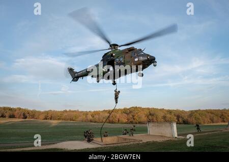 CAYLUS, FRANKREICH - NOVEMBER 15: Französische, britische und amerikanische Fallschirmjäger trainieren gemeinsam in Südfrankreich für die Falcon Amarante Mission mit einem h Stockfoto