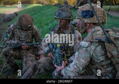 CAYLUS, FRANKREICH - NOVEMBER 14: Französische, britische und amerikanische Fallschirmjäger trainieren gemeinsam im Südfrankreich-Wald für den Falcon Amarante missio Stockfoto