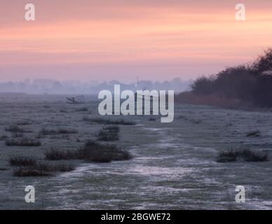 Start des Tages in der Abtei St. Benet. Rosa Sonnenaufgang über der Weidewiese - St. benet's Abbey, Februar 2018 Stockfoto