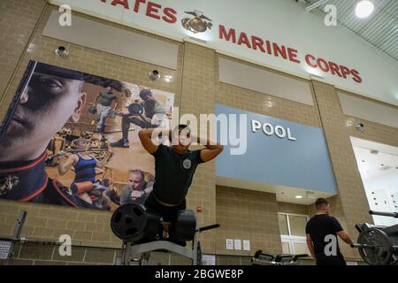 JACKSONVILLE, USA - OKTOBER 21: französische Soldaten trainieren im Fitnesscenter vor der von der US Navy organisierten Übung des amphibischen Bold Alligator Stockfoto