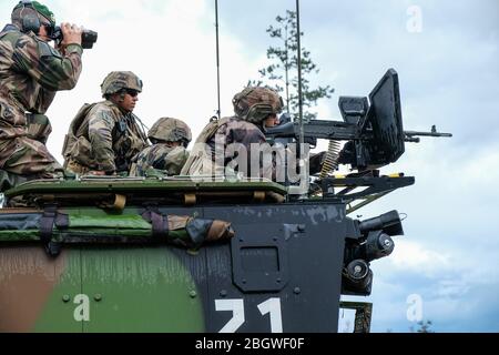 TAPA, ESTLAND - AUGUST 26: Französische Armee schießt im Wald in Estland, Viru, Tapa, Estland am 26. august 2017 in Tapa, estland. Stockfoto