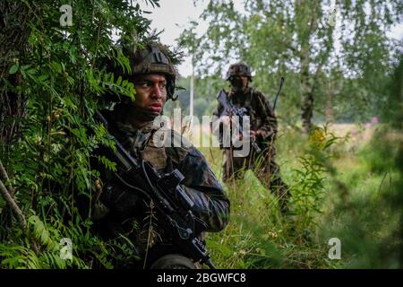 TAPA, ESTLAND - 23. AUGUST: Französische Armee im Wald in Estland, Viru, Tapa, Estland am 23. august 2017 in Tapa, estland. Stockfoto