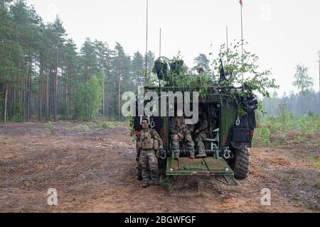 TAPA, ESTLAND - 23. AUGUST: Französische Armee im Wald in Estland, Viru, Tapa, Estland am 23. august 2017 in Tapa, estland. Stockfoto