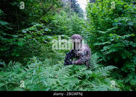 TAPA, ESTLAND - 22. AUGUST: Französische Armee im Wald in Estland, Viru, Tapa, Estland am 22. august 2017 in Tapa, estland. Stockfoto