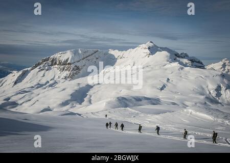 CHAMONIX, FRANKREICH - FEBRUAR 03: Soldaten Skifahren in den Bergen während einer Ski-Übung in der High Mountain Militärschule Ausbildung zukünftige alpine Jäger Stockfoto