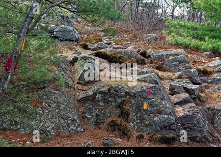 Markierungen führen Wanderer entlang eines Pfades durch den Wald und auf einem Granit Felsen Hügel. Dieser Weg ist in der Breakheart Reservation – Wakefield, Massachus Stockfoto