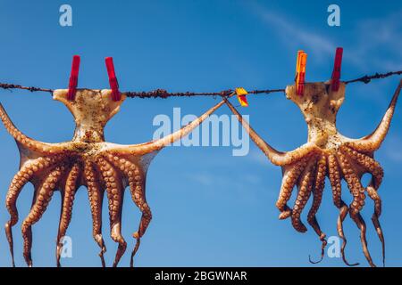 Octopus trocknen in der Sonne, Kreta, Griechenland, Europa. Octopus trocknen auf Kreta, Griechenland. Ein Tintenfisch trocknen auf einem Seil außerhalb einer Taverne auf Kreta, Griechenland. Octo Stockfoto