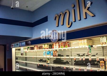 Leere Supermarktregale während der Covid-19-Viruspandemie. Mangel an Milch, Papierprodukte, Toilettenpapier, Desinfektionsmittel, Obst, Gemüse. Stockfoto