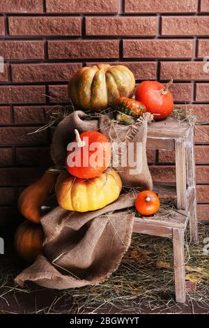 Kürbisse auf Holzleiter auf Boden auf Backstein Wand Hintergrund Stockfoto