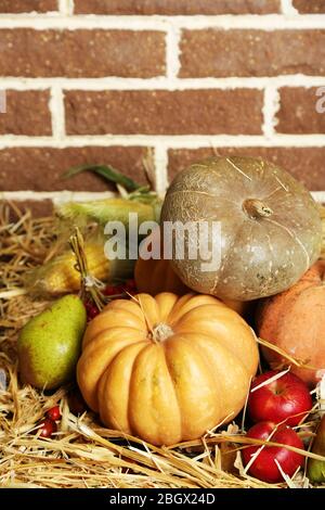 Schöne Herbst Komposition auf Stroh, auf Ziegelwand Hintergrund Stockfoto