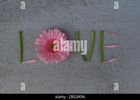 Das Wort „LIEBE“ aus Blumen. Stockfoto