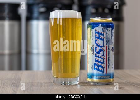 Busch Beer, klassische Dose auf einem Tisch neben einem vollen Glas Bier mit gestapelten Fässern im Hintergrund. Stockfoto