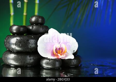 Orchideenblume mit Wassertropfen und Kieselsteinen auf dunklem, farbenfrohem Hintergrund Stockfoto