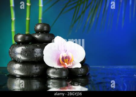 Orchideenblume mit Wassertropfen und Kieselsteinen auf dunklem, farbenfrohem Hintergrund Stockfoto