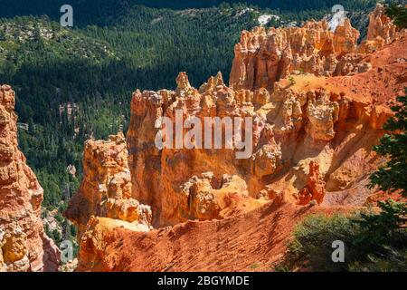 Red Sandstone Cliffs und Ponderosa Forest of Bryce Canyon National Park Stockfoto