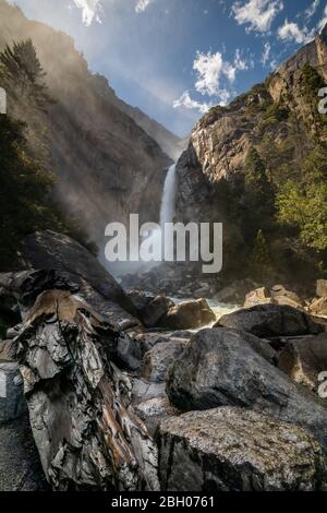 Lower Yosemite Falls von Vista Point am späten Nachmittag, mit Sonnenlicht Filterung zwischen den Bäumen gesehen; ein alter toter Baumstamm und eine Felsenlüge Stockfoto