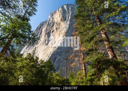 El Captain Berg bei Sonnenuntergang aus dem Wald Auf den Hängen Stockfoto