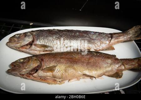 Nahaufnahme eines Paares gegrillter Forellen auf einem weißen Teller Stockfoto