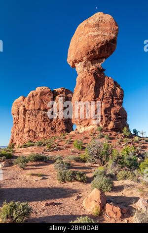 Im Arches National Park wird die Schwerkraft, die Balanced Rock Formation trotzt, vom frühen Morgenlicht unter einem blauen Himmel mit einem winzigen Mond beleuchtet Stockfoto