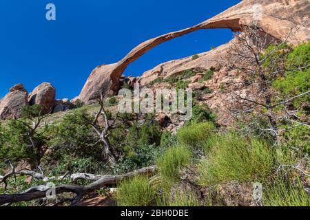 Weitwinkelansicht des ikonischen und dünnen Landscape Arch im Arches National Park, unter einem blauen Sommerhimmel Stockfoto