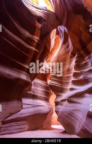 Porträtansicht des Innenraums des Antelope Canyon mit seinen roten Sandsteinwänden, die von Wasser und Wind geschnitzt wurden Stockfoto
