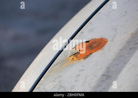 Großer oranger Rostfleck auf der Motorhaube eines silbernen Autos. Geschälte Lackschicht, die Rost und Korrosion auf die Karosseriearbeiten wirken kann. Stockfoto