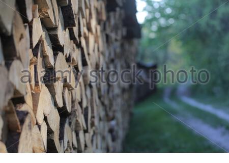 Ein Haufen ordentlich gestapeltes Holz kurz nachdem Bäume in Franken, Deutschland, geschmält worden waren. Stockfoto