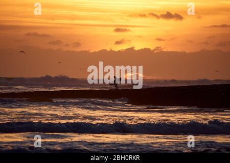 Männlicher Surfer, der ein Surfbrett in Silhouette gegen die untergehende Sonne und den bewölkten Himmel trägt, auf Felsen an einem Strand in Santa Cruz, Kalifornien, spazierend. Stockfoto