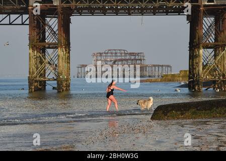 Brighton UK 23. April 2020 - Frühmorgendliche Schwimmer genießen ein Bad im Meer am Brighton Palace Pier an einem schönen heißen sonnigen Tag während der Sperrbeschränkungen während der Coronavirus COVID-19 Pandemie Krise . Die Temperaturen werden voraussichtlich 25 Grad in einigen Teilen des Südostens heute zu erreichen. Quelle: Simon Dack / Alamy Live News Stockfoto
