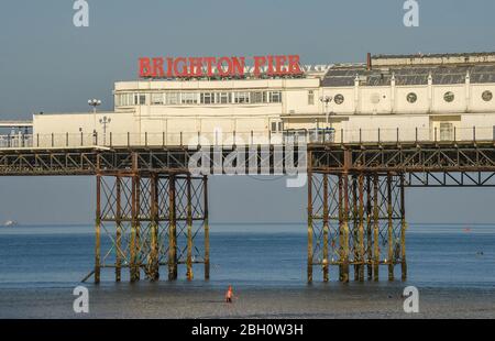 Brighton UK 23. April 2020 - Frühmorgendliche Schwimmer genießen ein Bad im Meer am Brighton Palace Pier an einem schönen heißen sonnigen Tag während der Sperrbeschränkungen während der Coronavirus COVID-19 Pandemie Krise . Die Temperaturen werden voraussichtlich 25 Grad in einigen Teilen des Südostens heute zu erreichen. Quelle: Simon Dack / Alamy Live News Stockfoto