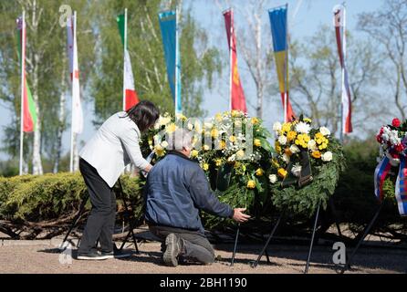 Zeithain, Deutschland. April 2020. Mitarbeiter, die Kränze in der Gedenkstätte für Kriegsgefangene und Opfer der Wehrmacht im Lager Zeithain von 1941-1945 Ehrenhain aufrichten. Anlass ist das Gedenken an die Stiftung Sächsische Gedenkstätten zum 75. Jahrestag der Befreiung des Kriegsgefangenenlagers Zeithain. Quelle: Sebastian Kahnert/dpa-Zentralbild/dpa/Alamy Live News Stockfoto