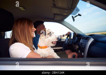 Seitenansicht des jungen Paares und des Hundes, die mit dem Auto reisen Stockfoto