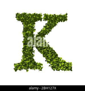 Buchstabe K Natur Blatt Alphabet. 3D-Rendering Stockfoto