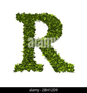 Buchstabe R Natur Blatt Alphabet. 3D-Rendering Stockfoto