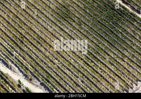 Luftaufnahme von Weinbergen in der Nähe von Stellenbosch Stockfoto