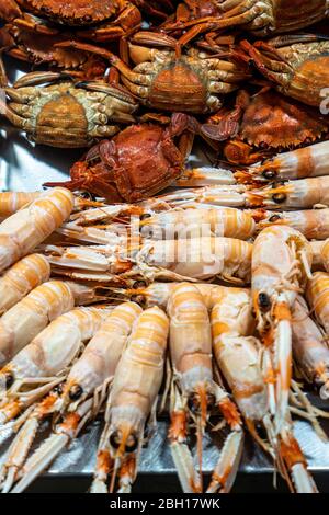 Krabben und Langoustinen auf einem Stand auf dem Fischmarkt in einer Markthalle, Spanien, Andalusien, Cadiz Stockfoto