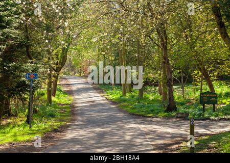 Der Fife Coastal Path zwischen Aberdour und Dalgety Bay, Fife, Schottland Stockfoto